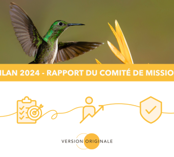 Bilan 2024 - Rapport comité de mission VO