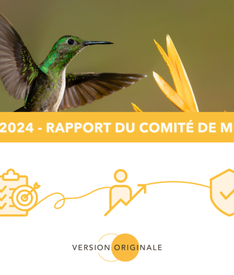 Bilan 2024 - Rapport comité de mission VO