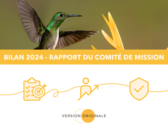 Bilan 2024 - Rapport comité de mission VO