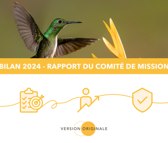 Bilan 2024 - Rapport comité de mission VO