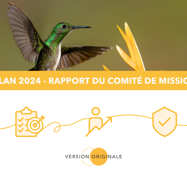 Bilan 2024 - Rapport comité de mission VO