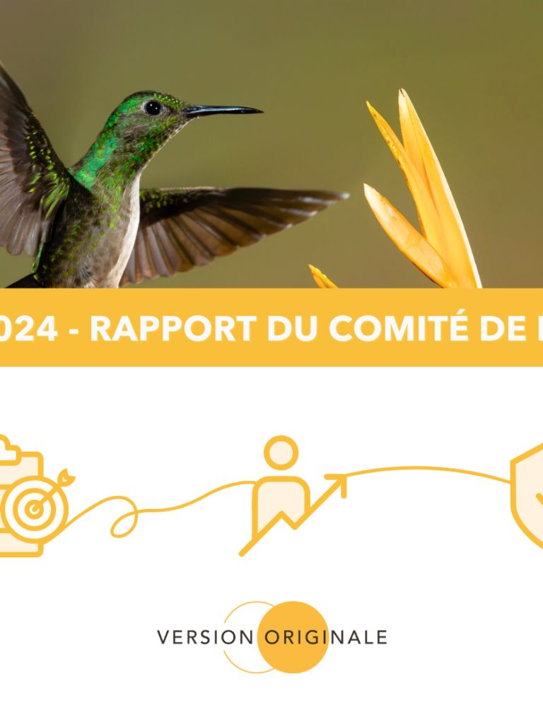 Bilan 2024 - Rapport comité de mission VO