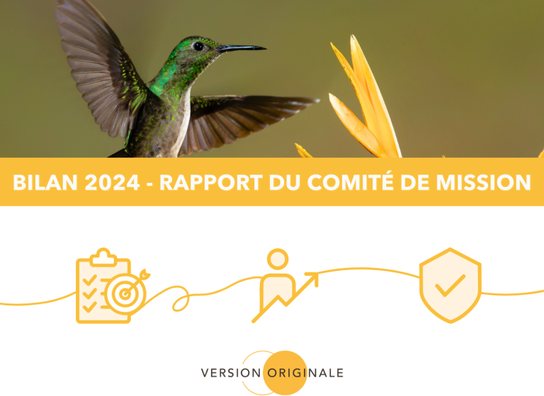 Bilan 2024 - Rapport comité de mission VO