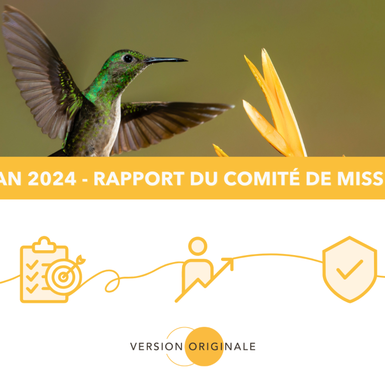 Bilan 2024 - Rapport comité de mission VO